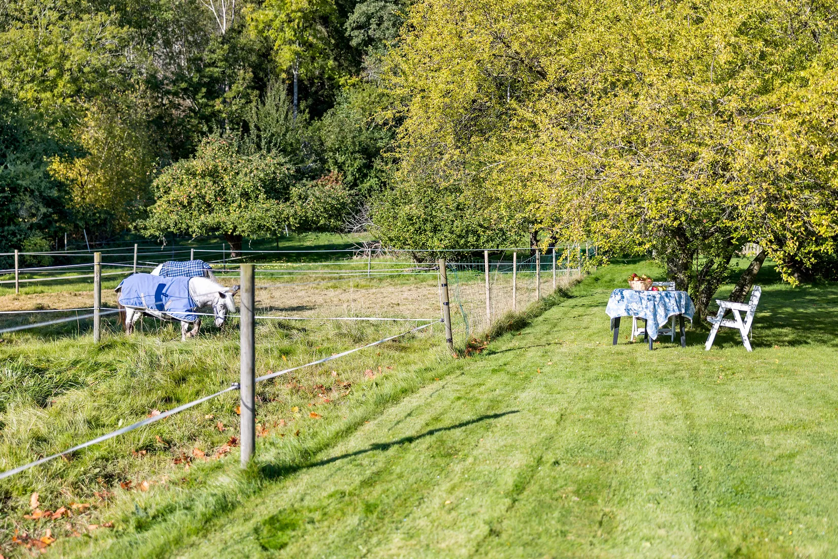 Bostadsrätt, Annebergs gård  14c, Anneberg, Kungsbacka