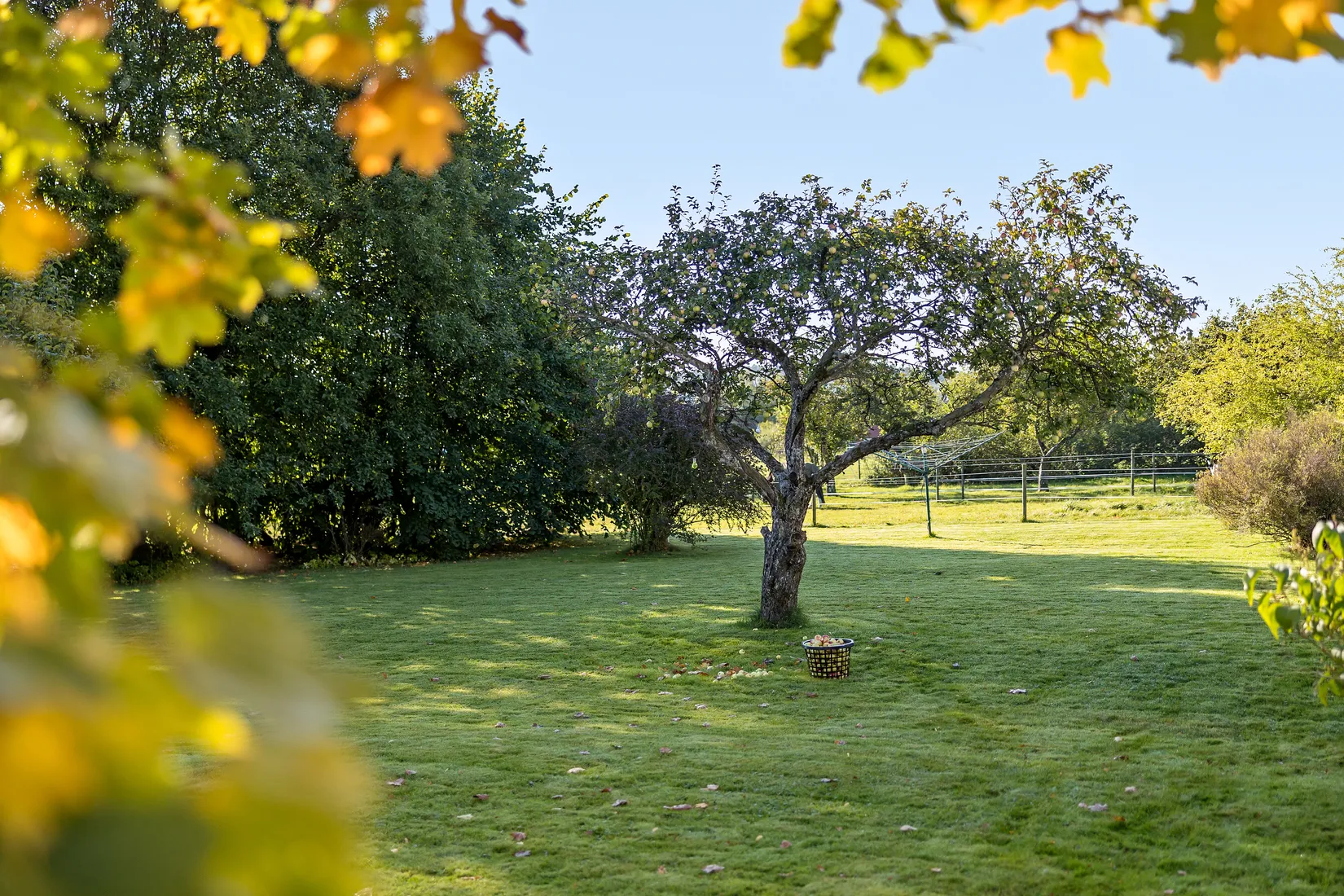 Bostadsrätt, Annebergs gård  14c, Anneberg, Kungsbacka