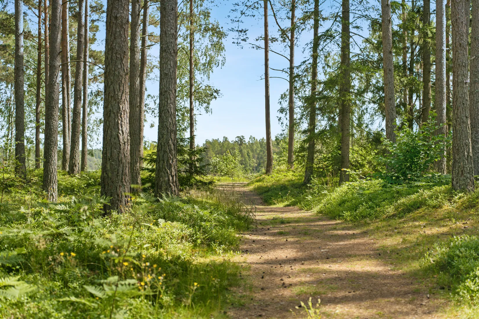 Villa, Vetestigen 6, Kvegerö, Gnesta