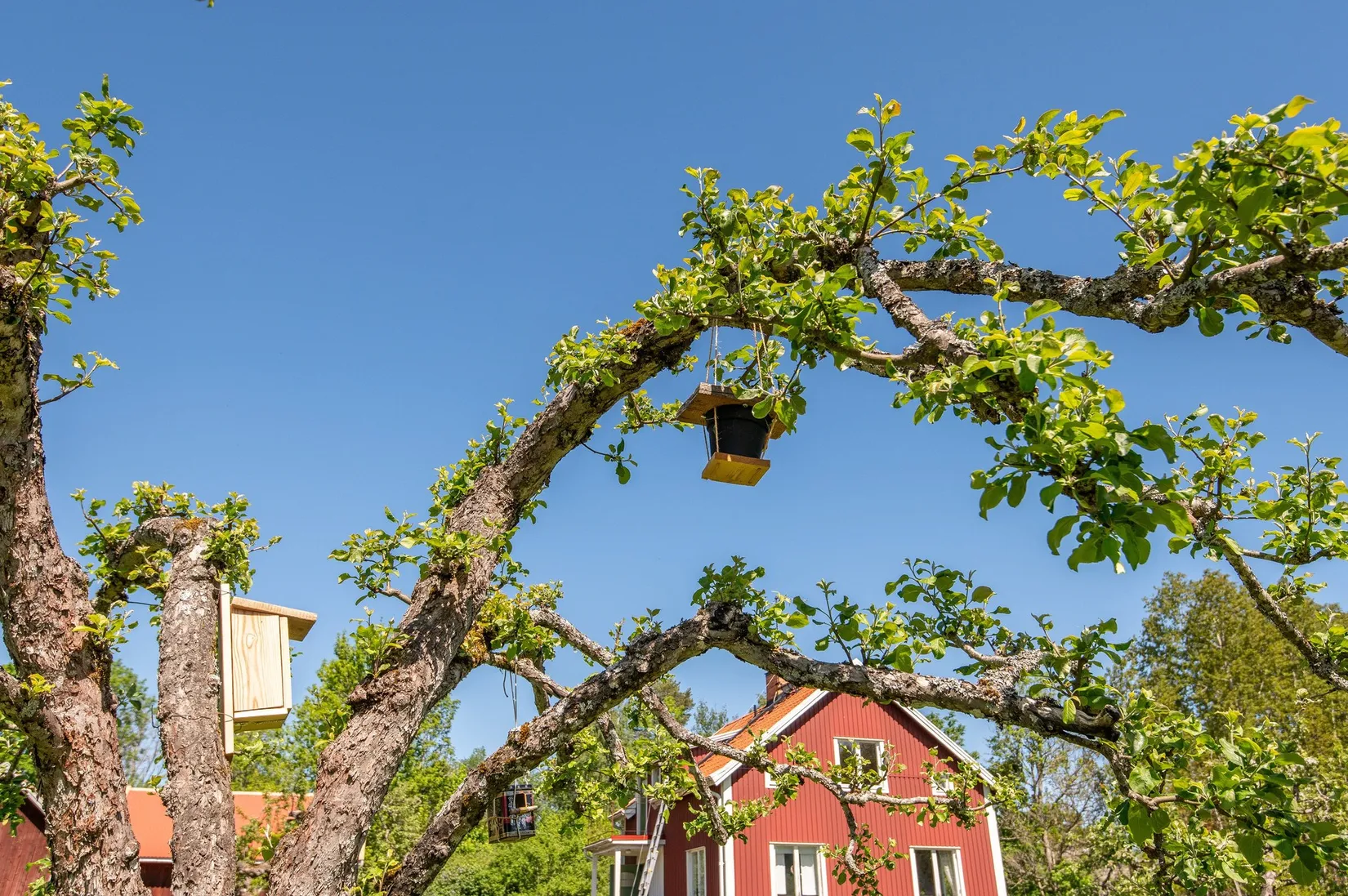 Villa, Regna kyrkby Rosendal 30, Regna, Finspång