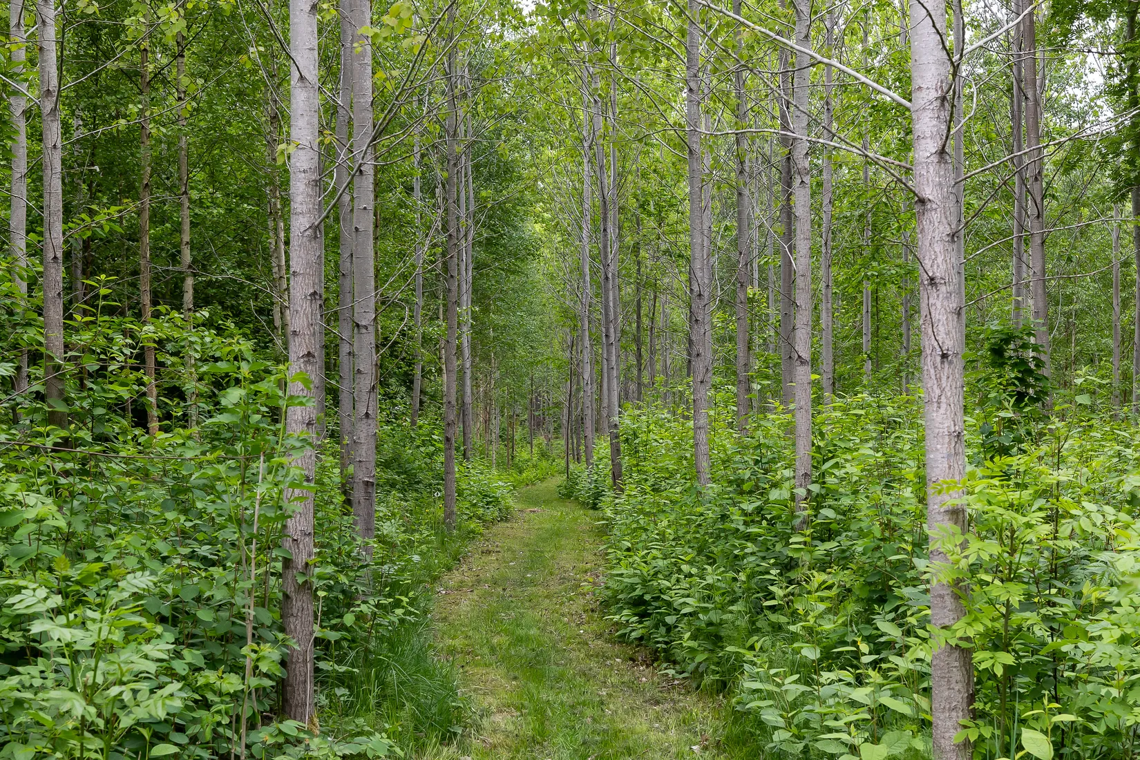 Fritidshus, Långvassenvägen 10B, Långvassen, Lekeberg