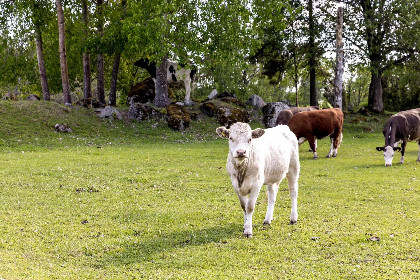 Villa, Fröslunda Varsta 15, Fröslunda, Enköping