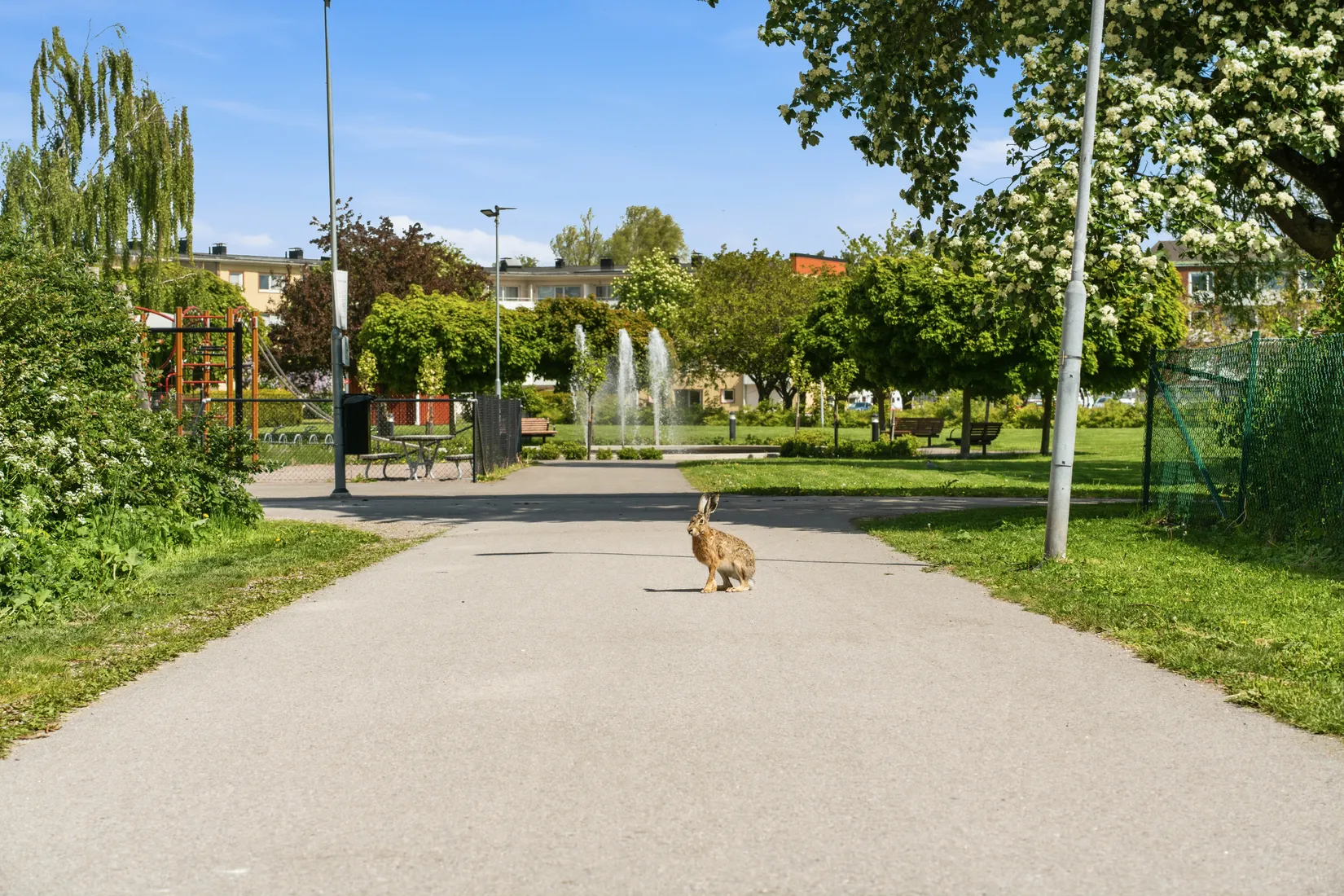 Bostadsrätt, Trädgårdsgatan 11, Centrala Oxelösund, Oxelösund