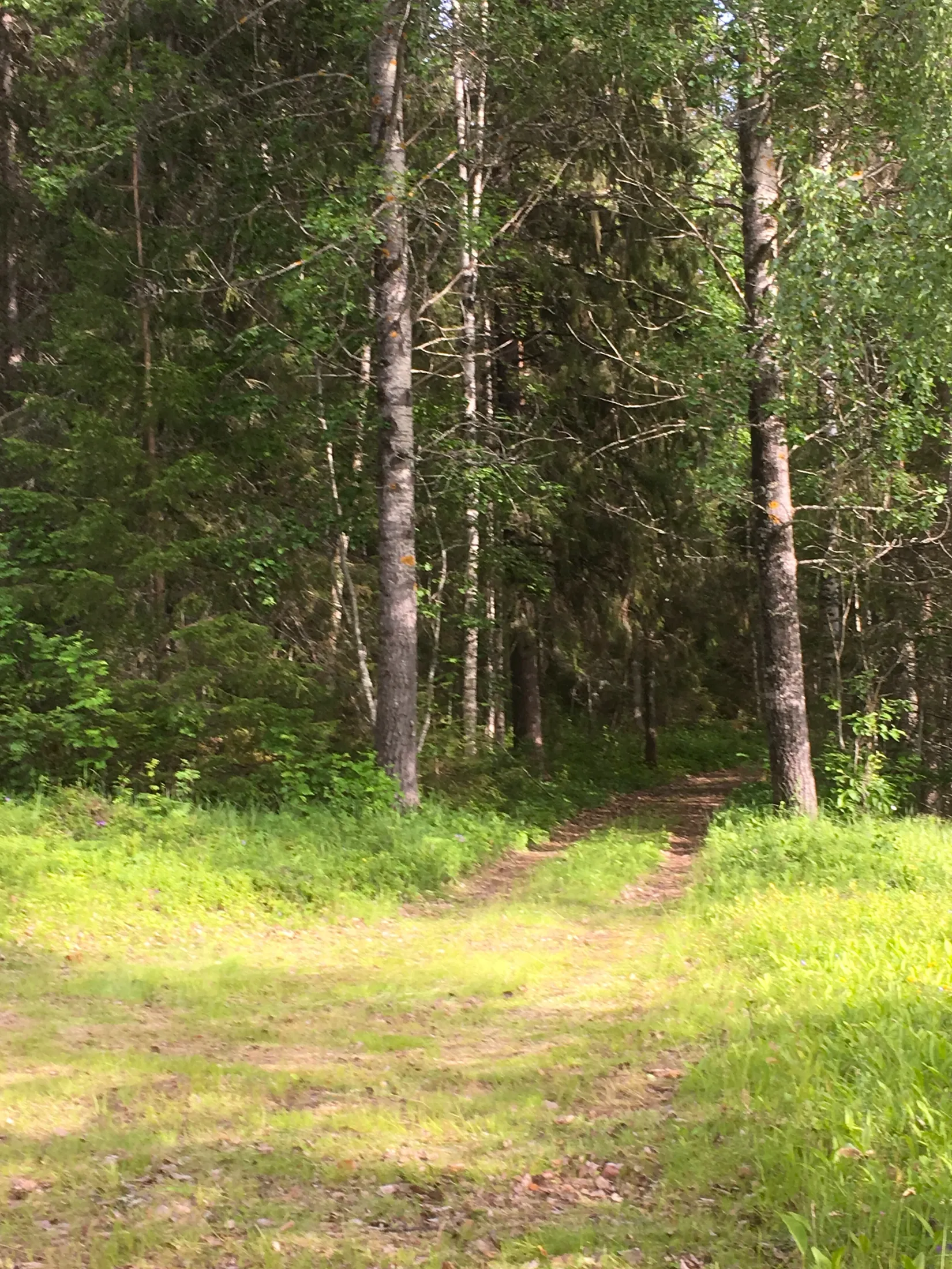 Fritidshus, Åliden 1:6, Vindeln