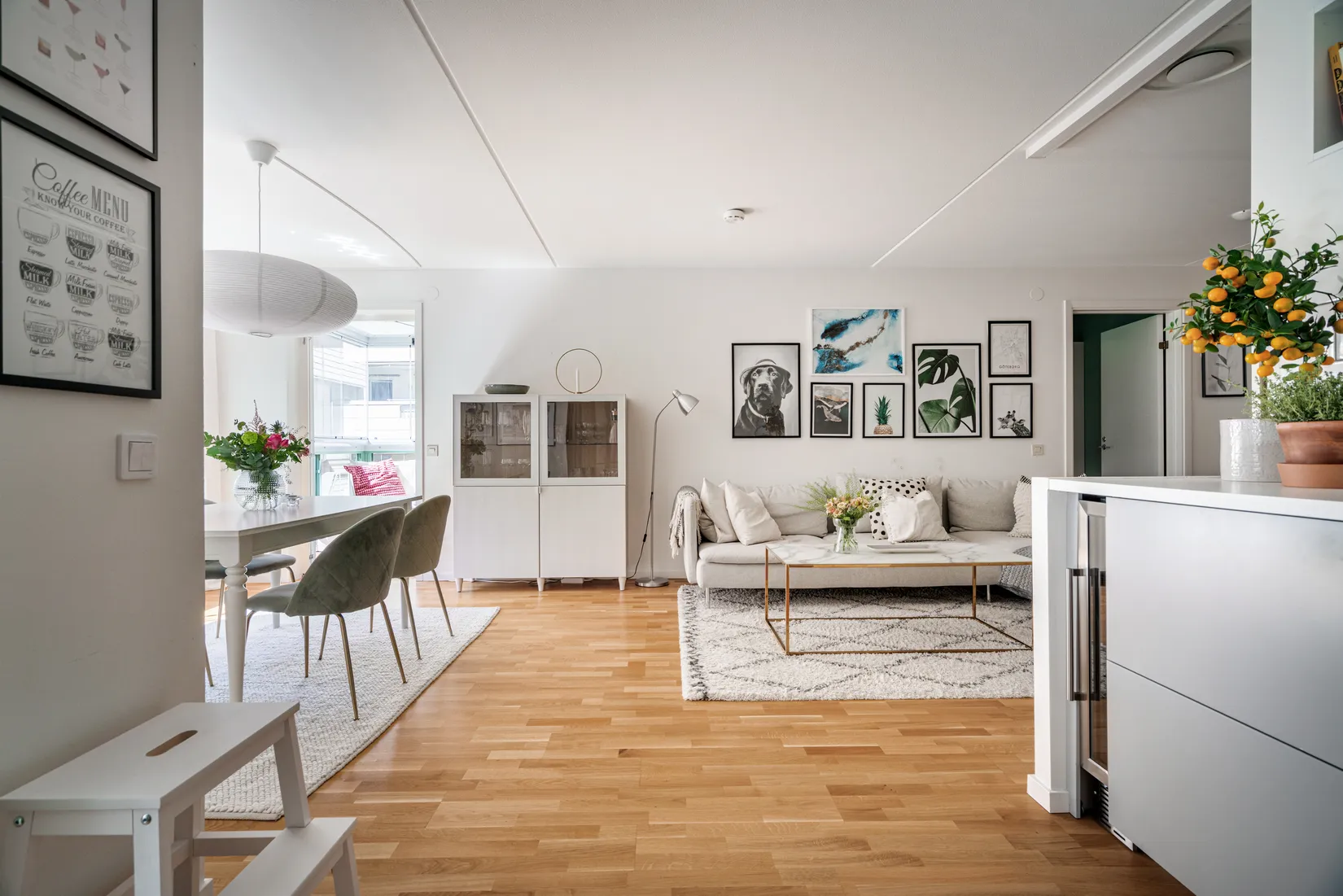 Bostadsrätt, Nordenskiöldsgatan 6, Linné, Göteborg