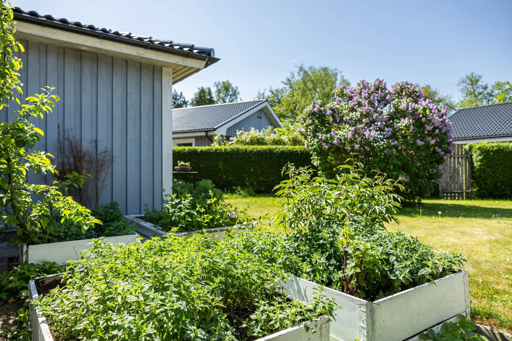 Bostadsrätt, Radhus, Falkgatan 13B, Simrishamn