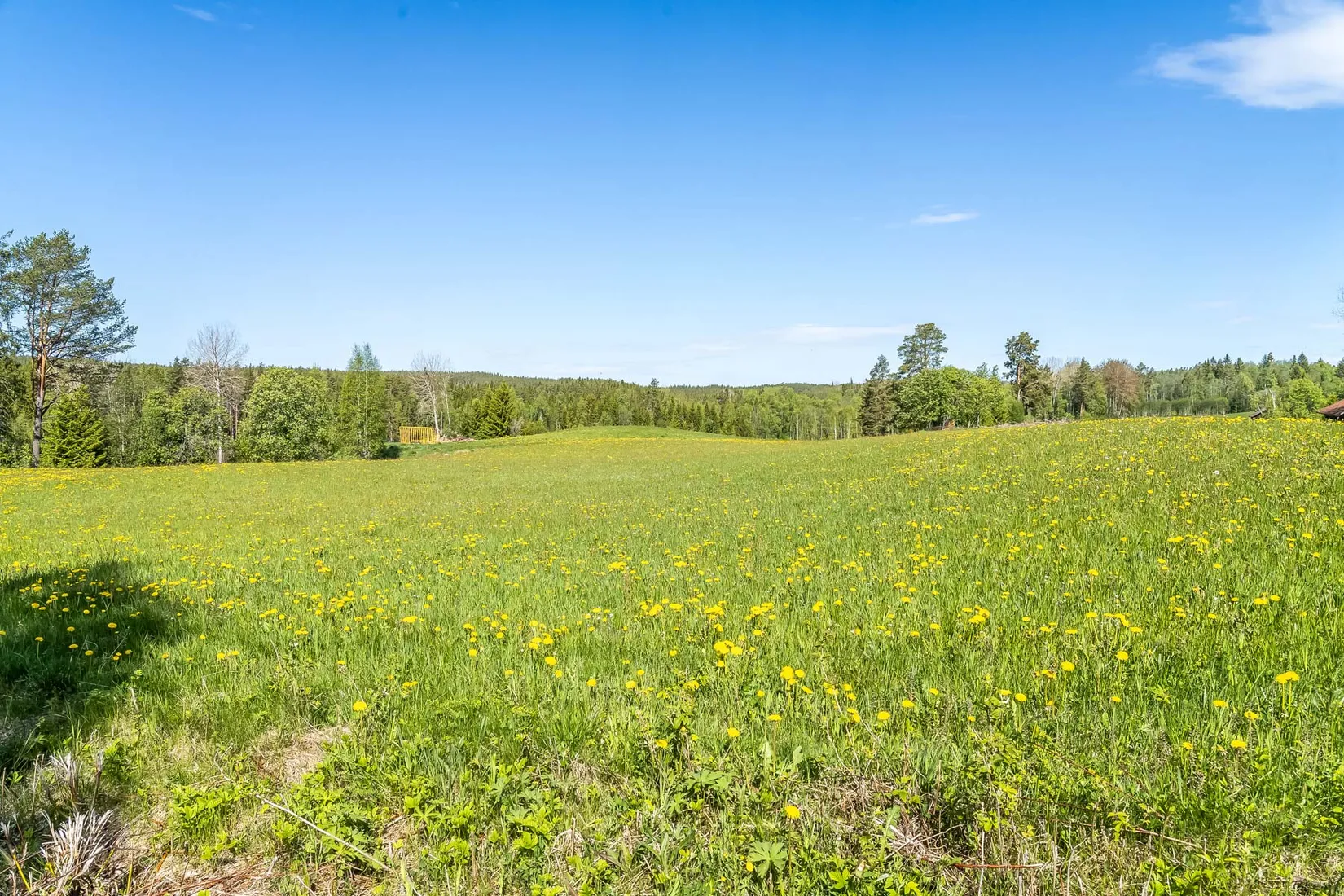 Gård/Skog, efter Skärbäcksvägen, Rättvik