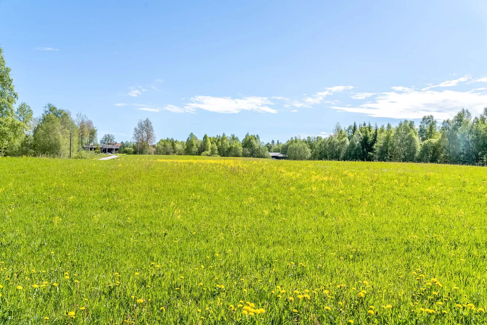 Gård/Skog, efter Skärbäcksvägen, Rättvik
