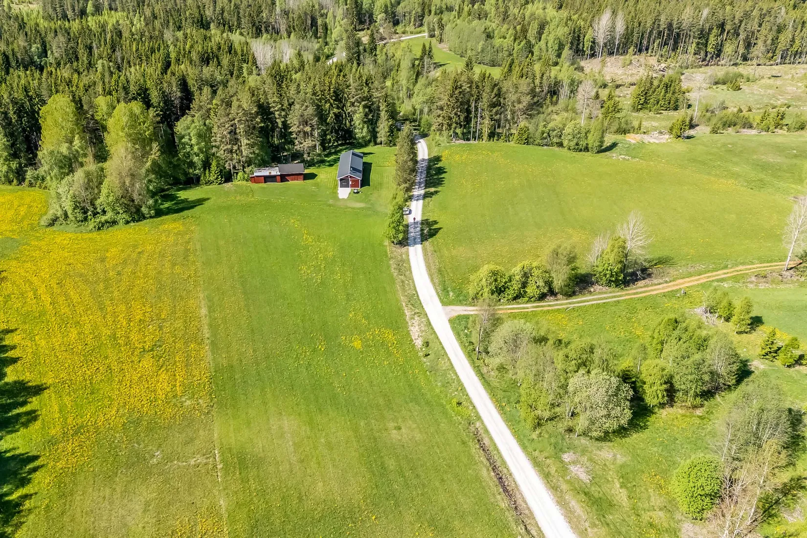 Gård/Skog, efter Skärbäcksvägen, Rättvik