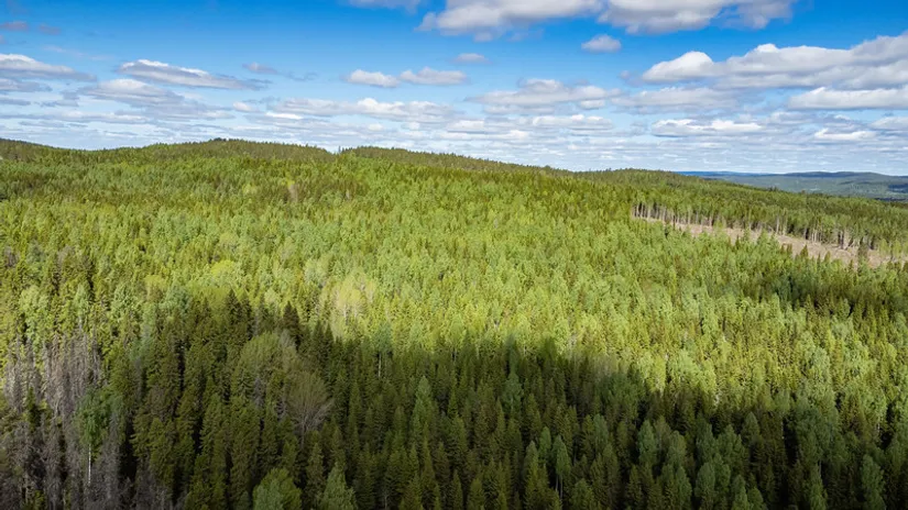 Gård/Skog, del av KRAMFORS KÄRR 1:73 och del av Kärr 1:98, Kramfors