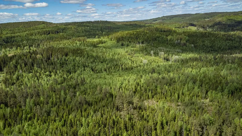 Gård/Skog, del av KRAMFORS KÄRR 1:73 och del av Kärr 1:98, Kramfors