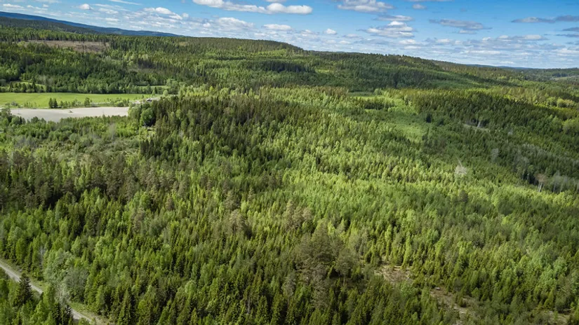 Gård/Skog, del av KRAMFORS KÄRR 1:73 och del av Kärr 1:98, Kramfors