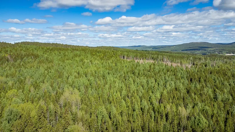 Gård/Skog, del av KRAMFORS KÄRR 1:73 och del av Kärr 1:98, Kramfors