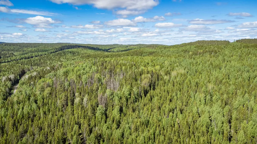 Gård/Skog, del av KRAMFORS KÄRR 1:73 och del av Kärr 1:98, Kramfors