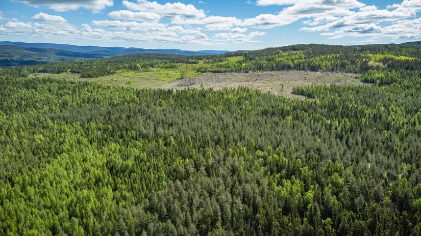 Gård/Skog, del av KRAMFORS KÄRR 1:73 och del av Kärr 1:98, Kramfors