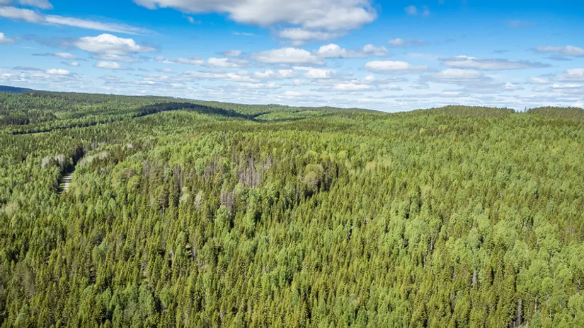 Gård/Skog, del av KRAMFORS KÄRR 1:73 och del av Kärr 1:98, Kramfors