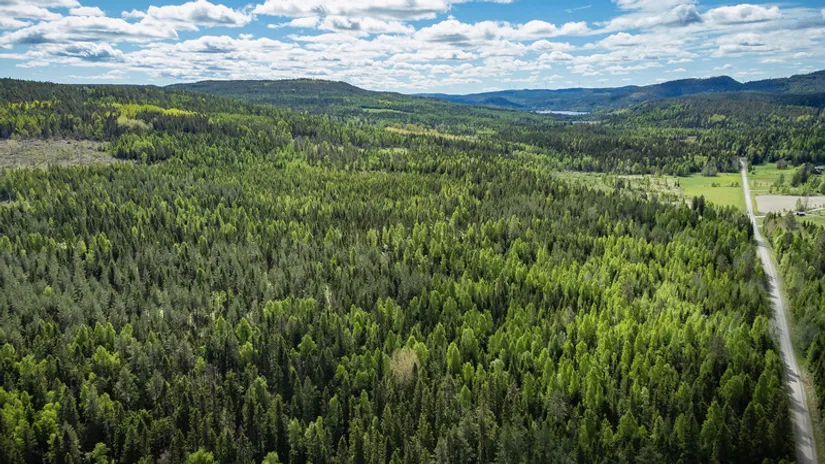 Gård/Skog, del av KRAMFORS KÄRR 1:73 och del av Kärr 1:98, Kramfors