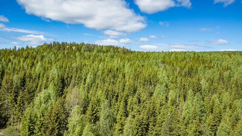 Gård/Skog, del av KRAMFORS KÄRR 1:73 och del av Kärr 1:98, Kramfors