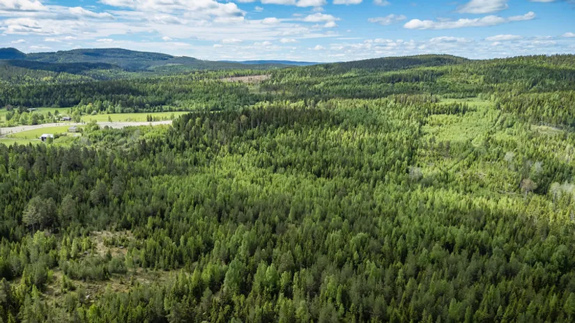 Gård/Skog, del av KRAMFORS KÄRR 1:73 och del av Kärr 1:98, Kramfors