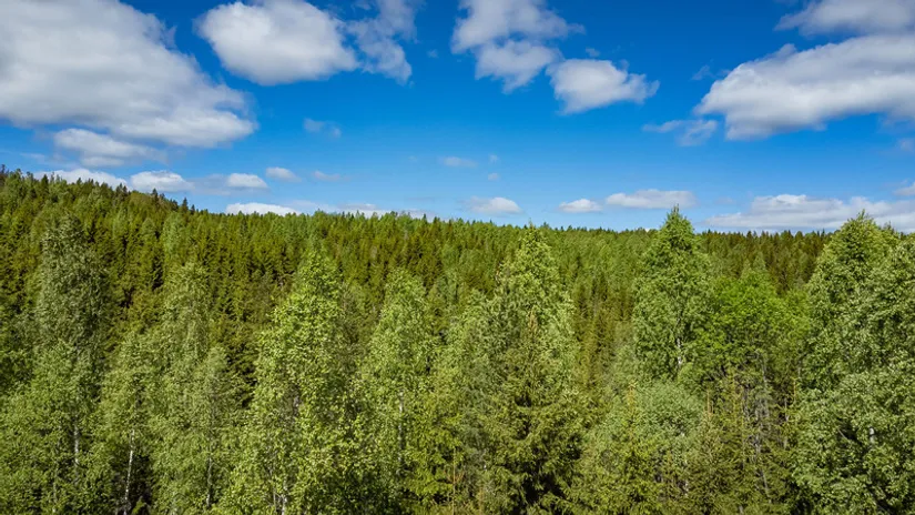 Gård/Skog, del av KRAMFORS KÄRR 1:73 och del av Kärr 1:98, Kramfors