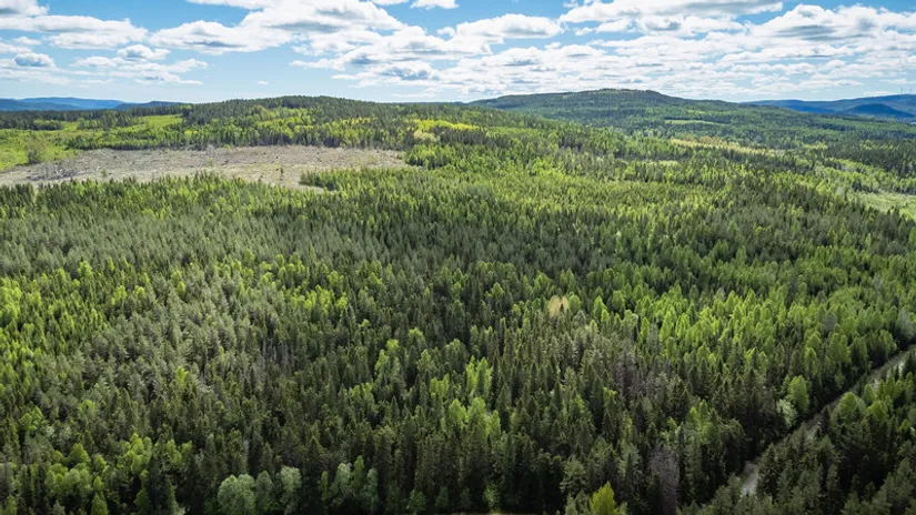 Gård/Skog, del av KRAMFORS KÄRR 1:73 och del av Kärr 1:98, Kramfors