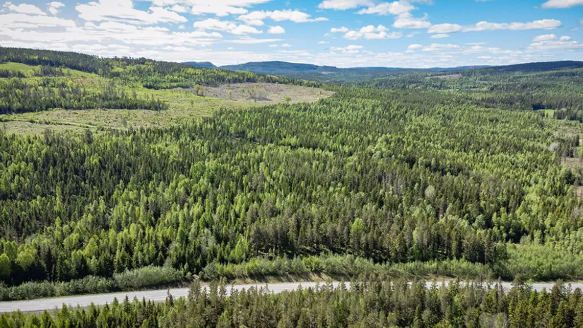 Gård/Skog, del av KRAMFORS KÄRR 1:73 och del av Kärr 1:98, Kramfors