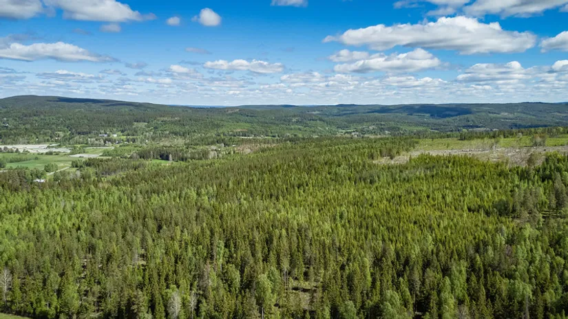 Gård/Skog, del av KRAMFORS KÄRR 1:73 och del av Kärr 1:98, Kramfors