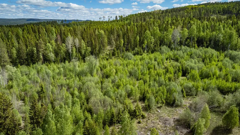 Gård/Skog, del av KRAMFORS KÄRR 1:73 och del av Kärr 1:98, Kramfors