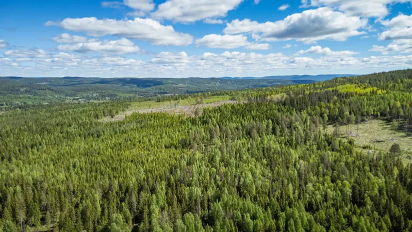 Gård/Skog, del av KRAMFORS KÄRR 1:73 och del av Kärr 1:98, Kramfors