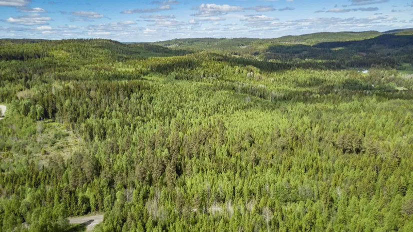 Gård/Skog, del av KRAMFORS KÄRR 1:73 och del av Kärr 1:98, Kramfors