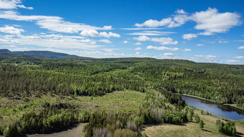 Gård/Skog, del av KRAMFORS KÄRR 1:73 och del av Kärr 1:98, Kramfors