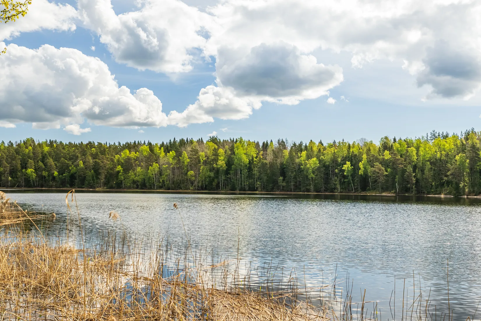 Fritidshus, LÅNGSJÖVÄGEN 21, Garns-Ekskogen, Vallentuna