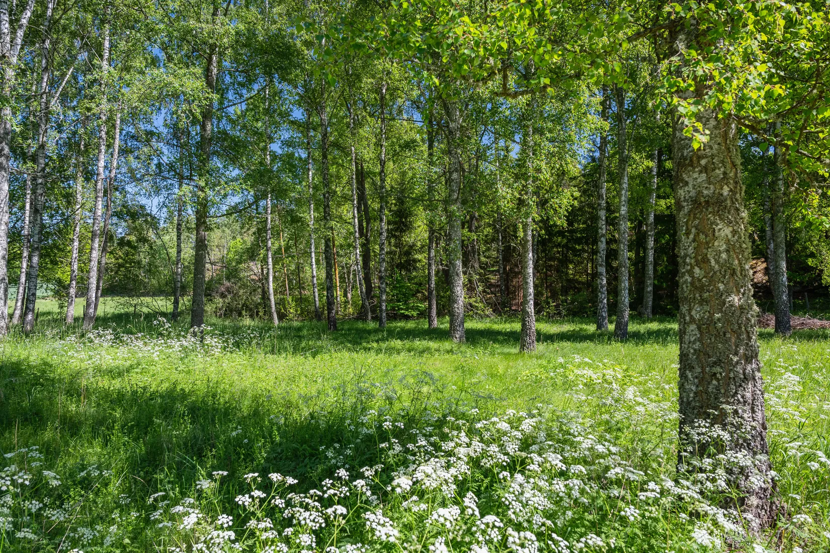 Fritidshus, Sidus Ektorpet, Djurön, Norrköping
