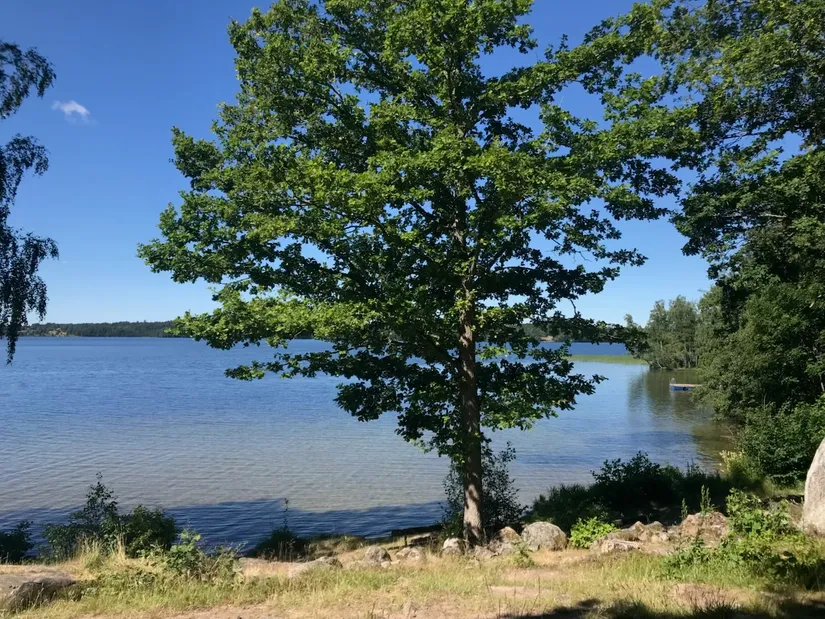 Bostadsrätt, Våreldsvägen 3A, Markplan, Sturefors, Linköping