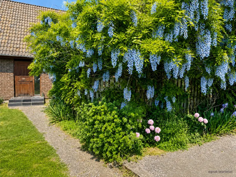 Villa, Hallongatan 25, Tollarp, Kristianstad