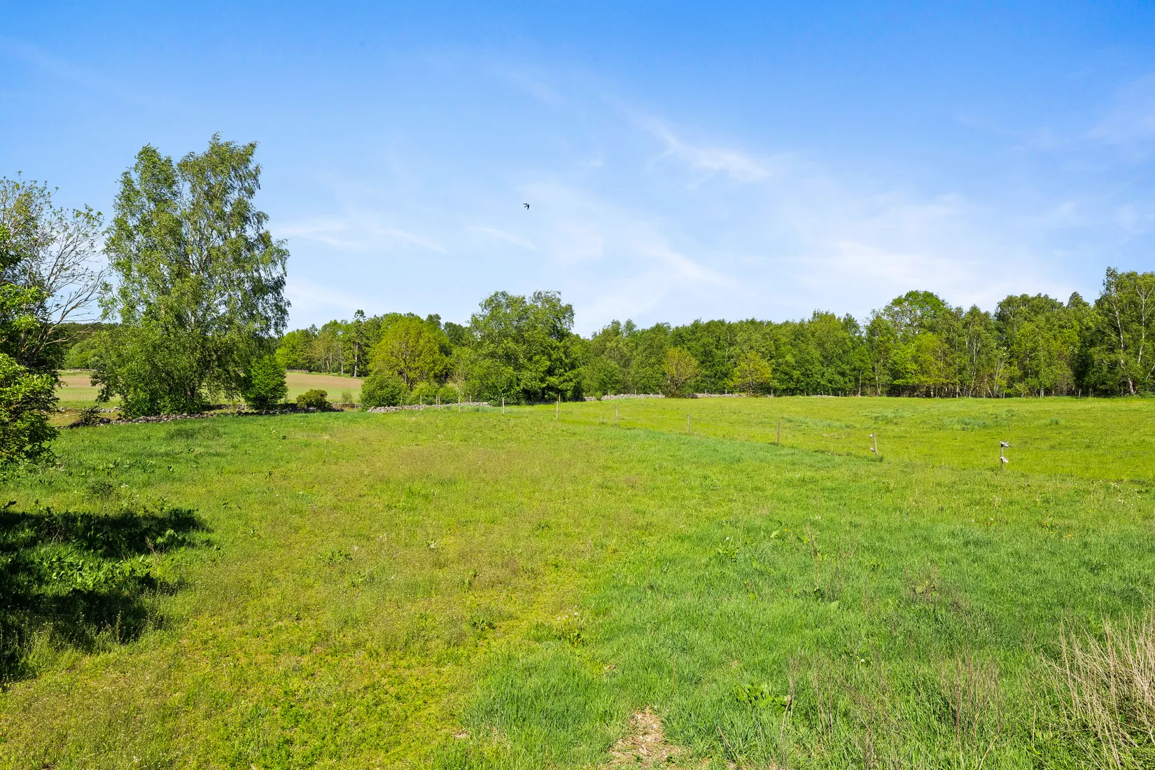 Gård/Skog, Ryadalsvägen 103-12, Heingeberg, Sjöbo