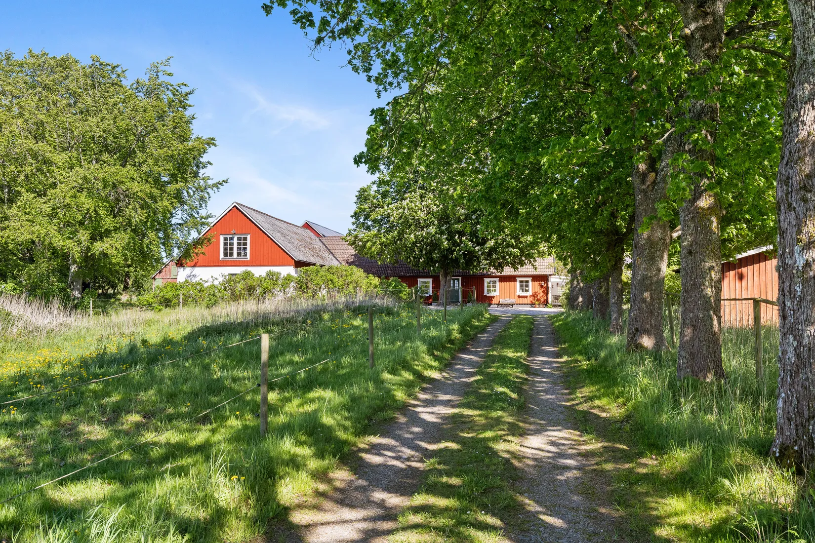 Gård/Skog, Ryadalsvägen 103-12, Heingeberg, Sjöbo