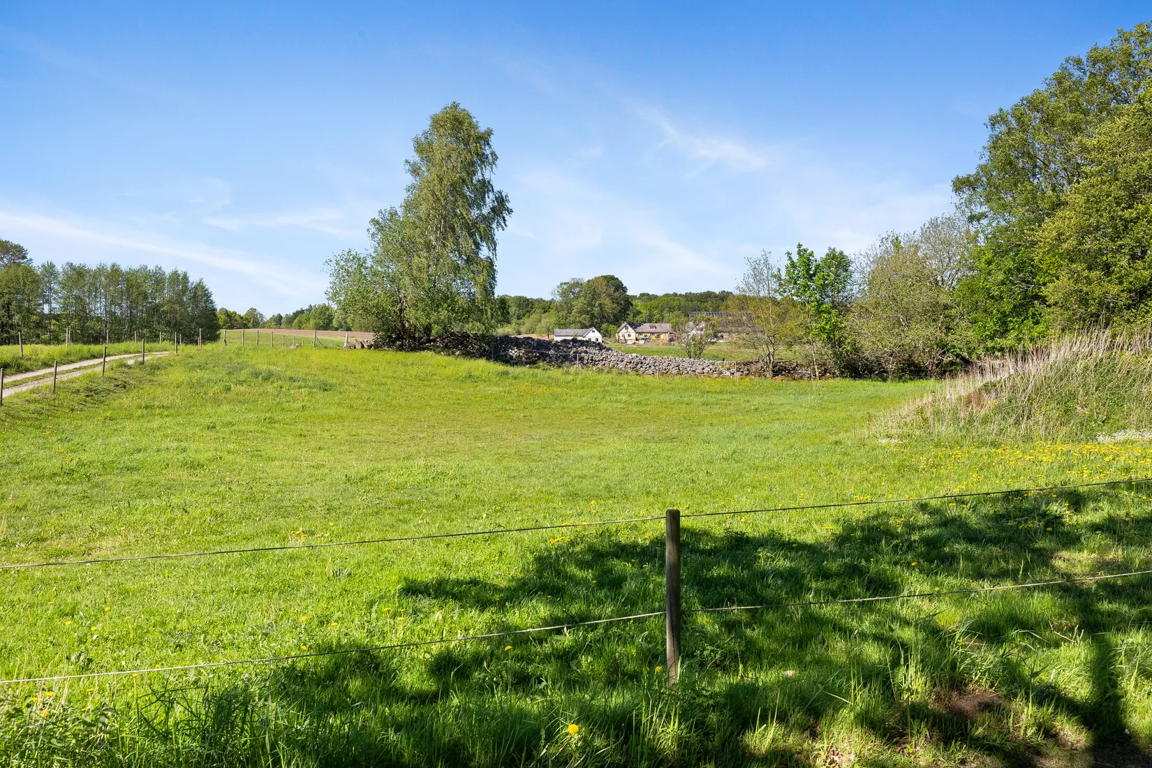 Gård/Skog, Ryadalsvägen 103-12, Heingeberg, Sjöbo