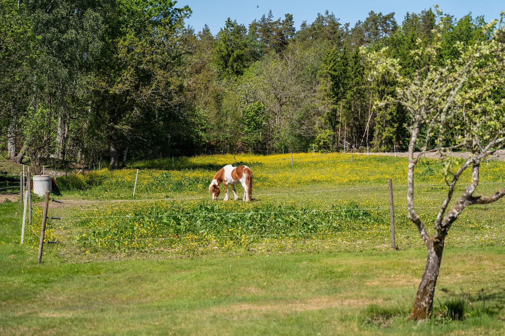 Gård/Skog, Siviken 181, Siviken, Vänersborg