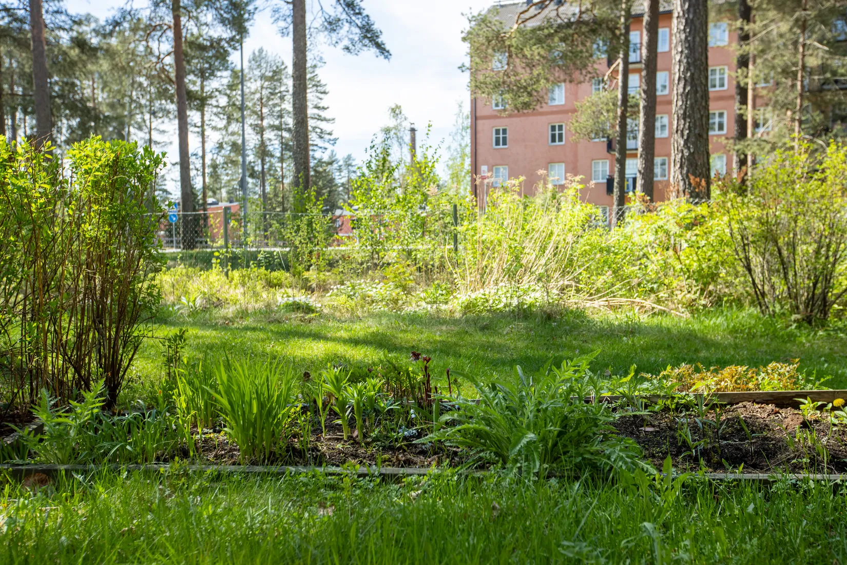 Bostadsrätt, Glädjens Gränd 21, Umedalen, Umeå