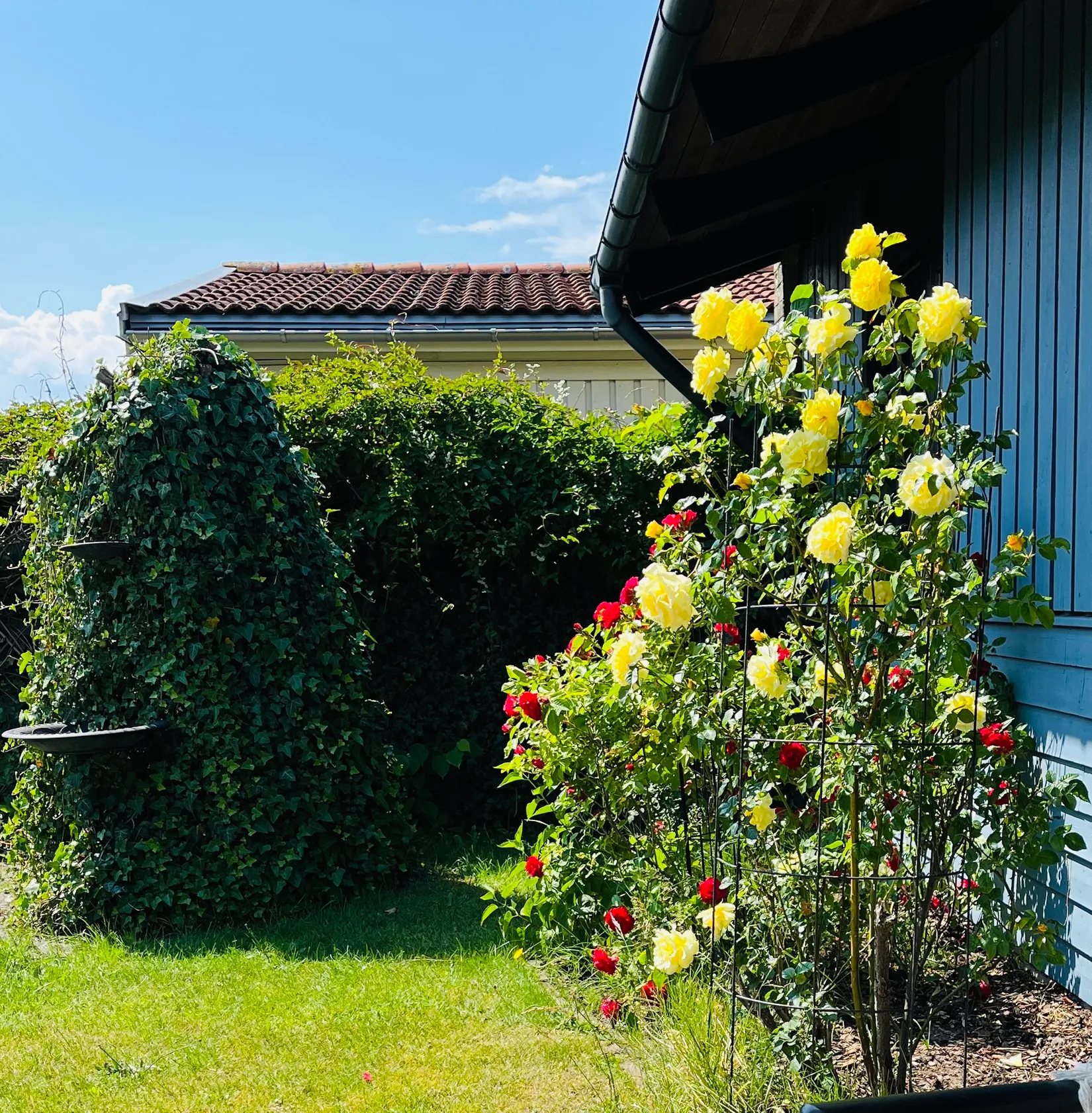 Radhus, Betesvägen 59, Lerberget, Höganäs
