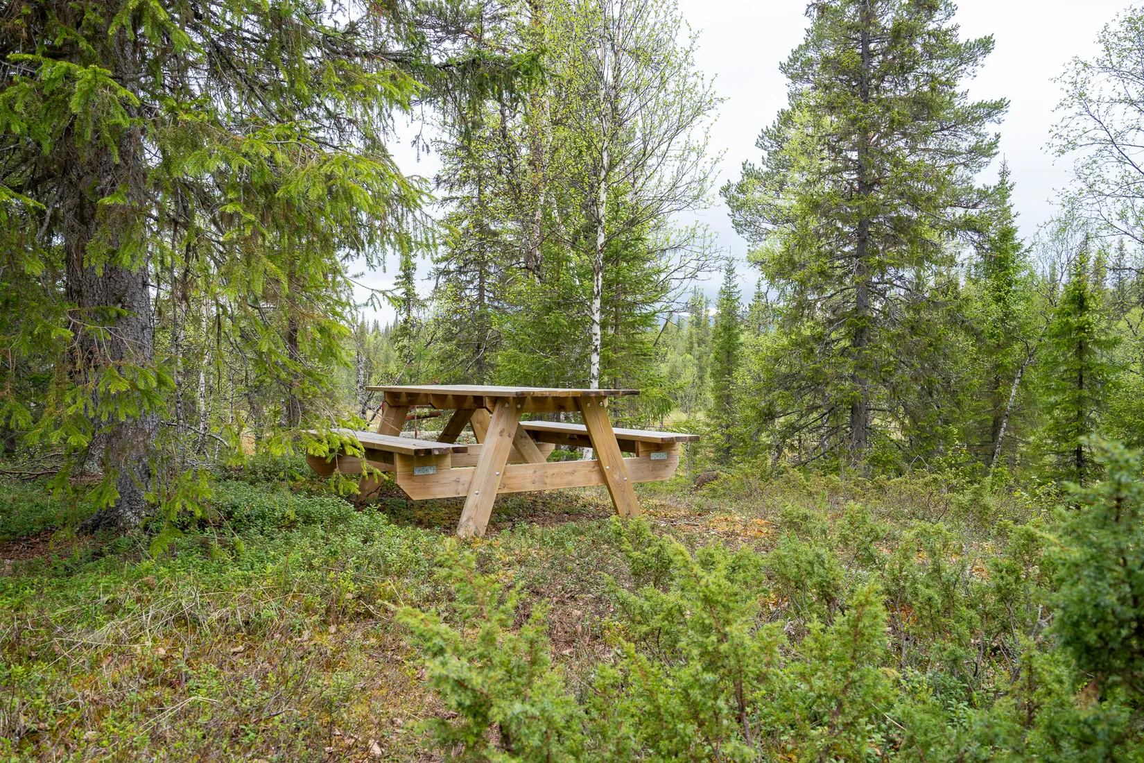 Fritidshus, Bergsjövägen 48, Grönfjäll, Vilhelmina