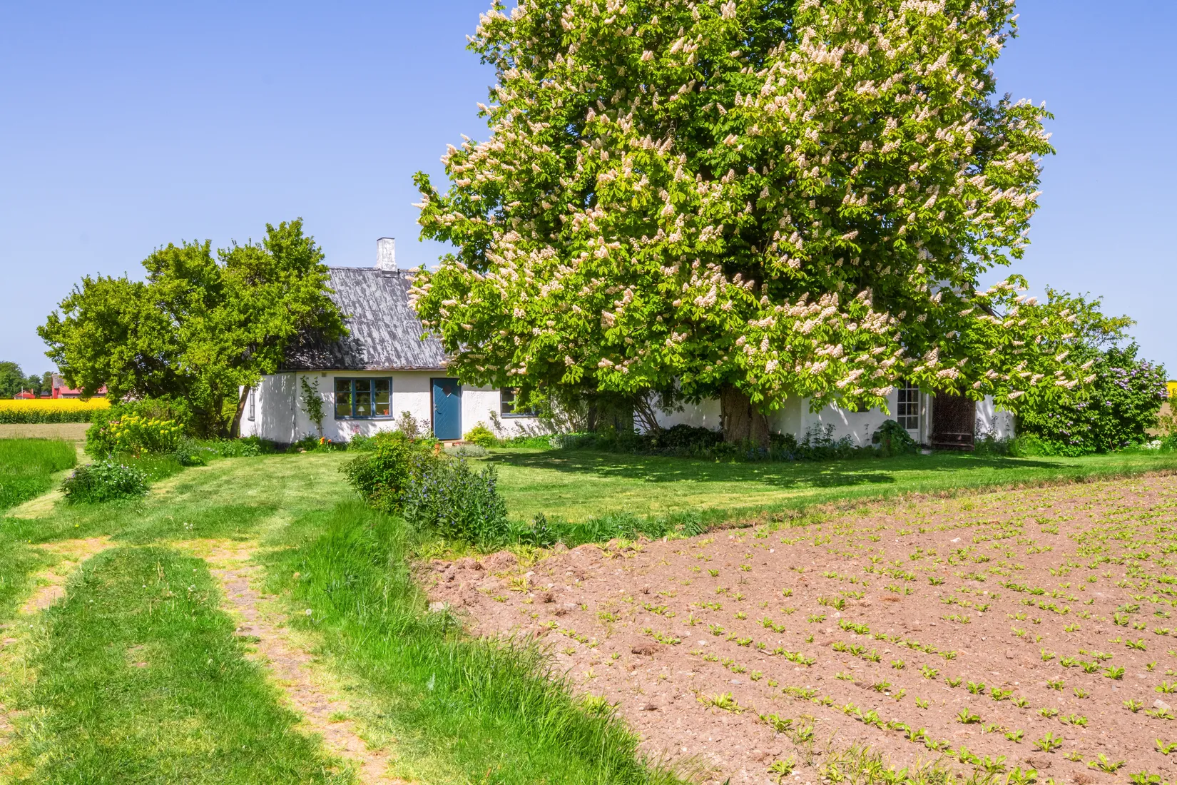 Villa, Råängavägen 37, Örum, Ystad