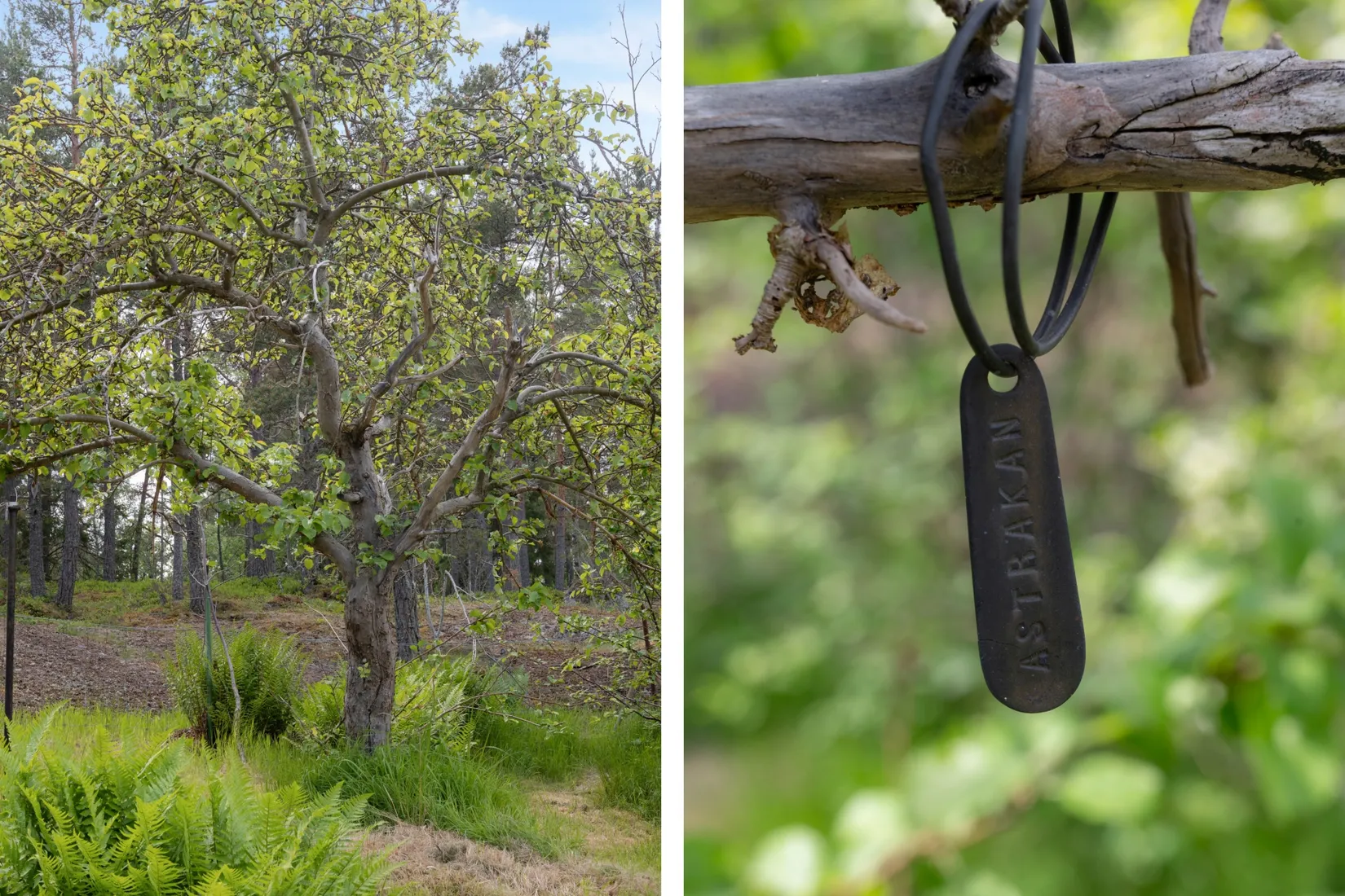 Fritidshus, Lyckornas väg 21, Evlinge, Värmdö