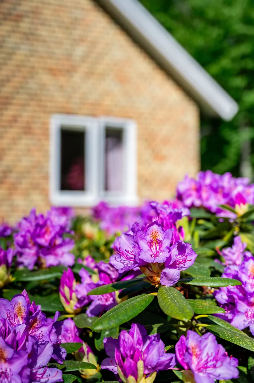 Villa, Gälleberg Erlandsrödjan, Gälleberg, Tidaholm