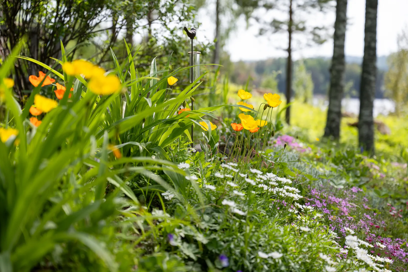 Fritidshus, Aspnäs 167, Aspnäs, Härnösand