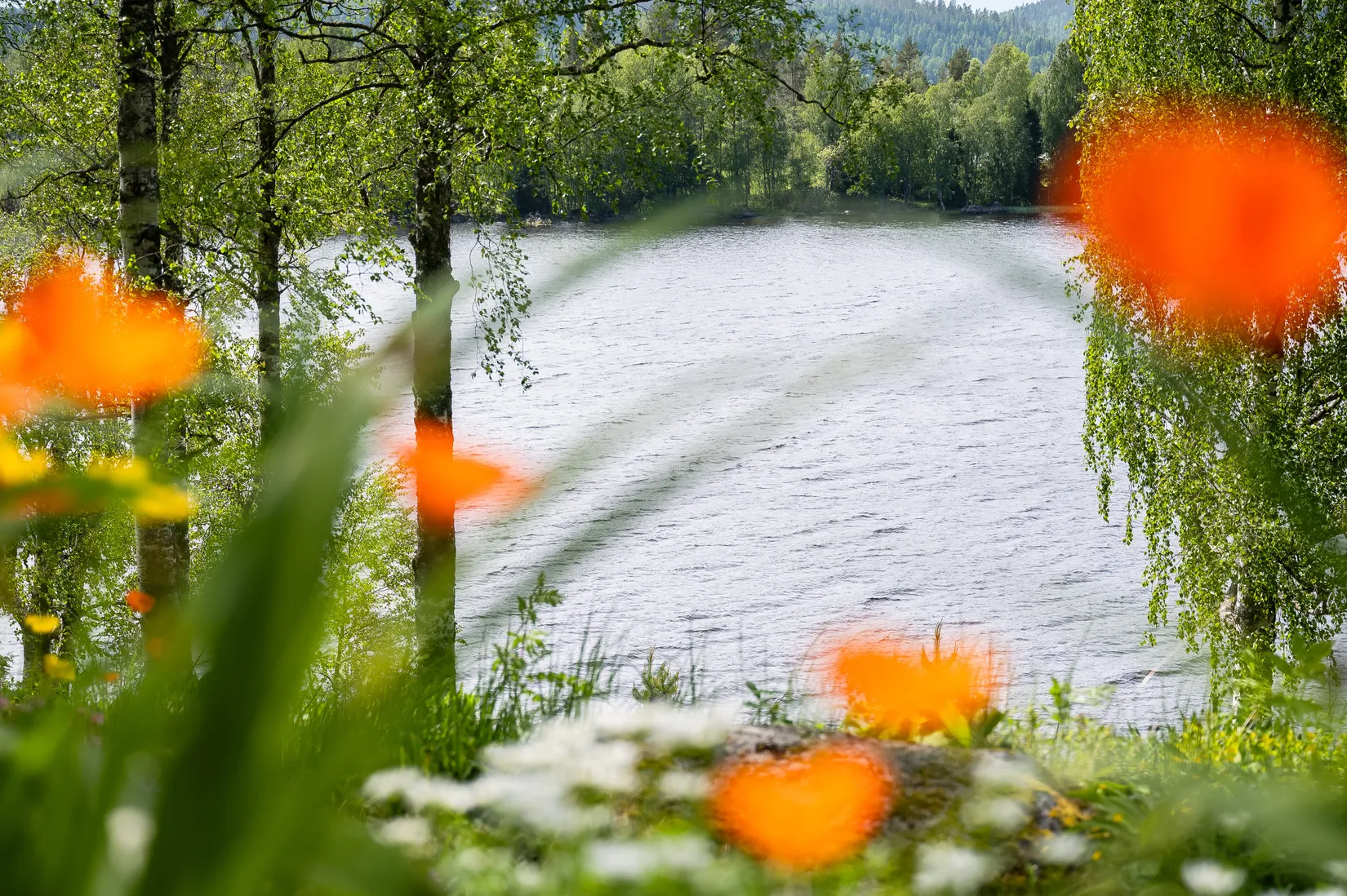 Fritidshus, Aspnäs 167, Aspnäs, Härnösand