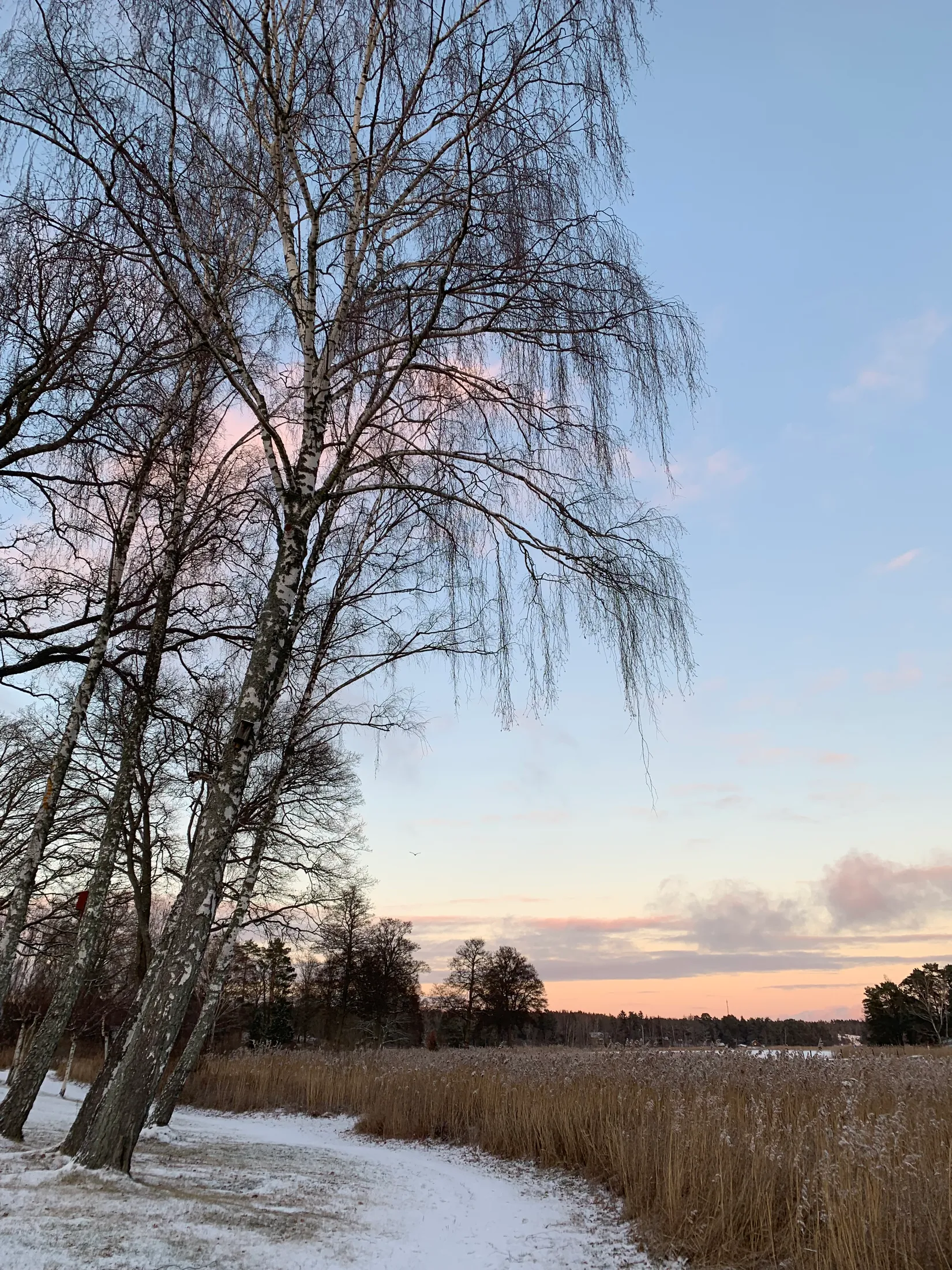 Villa, Handelsbacken 5, Evlinge, Värmdö