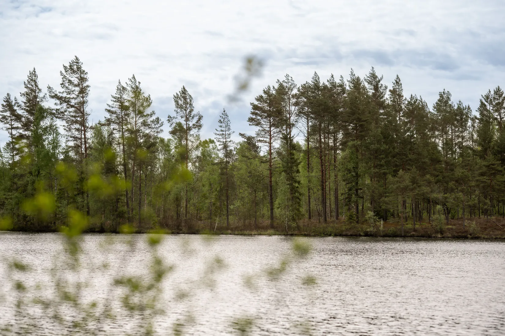 Fritidshus, Öd Östersjön 3, Borås