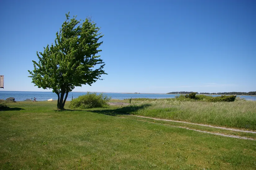 Tomt, Västergarn Ammor 914R, Västra Gotland - Västergarn med omnejd, Gotland